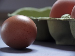 egg-1803368_1280