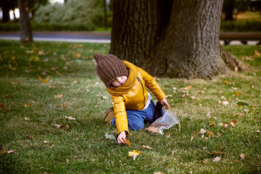 On ramasse des feuilles pour faire notre herbier !