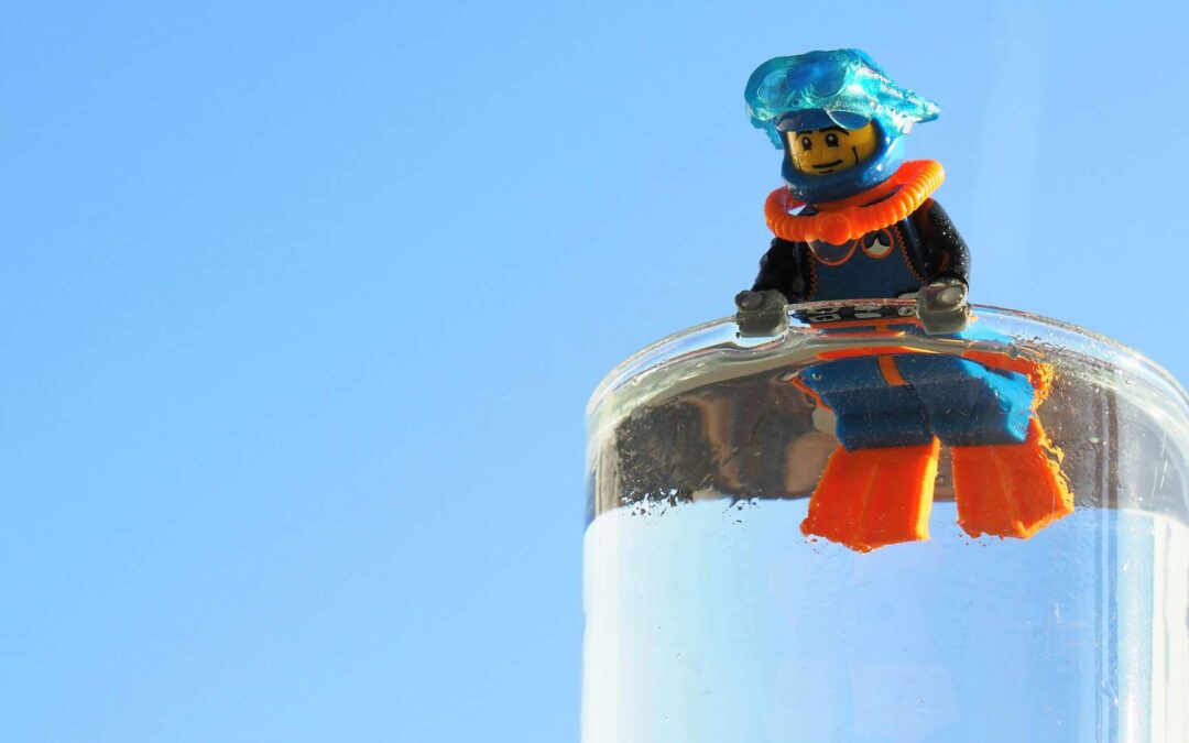 Playmobil vs Lego : Qui propose la meilleure variété de figurines ?