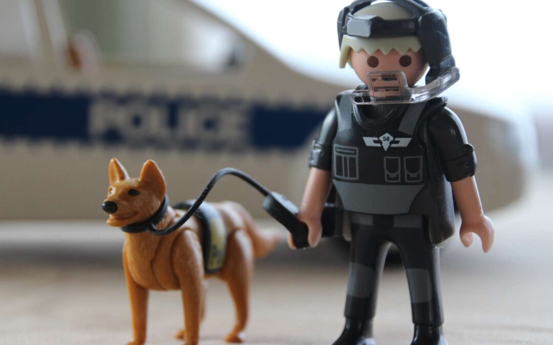 Les avantages de choisir Playmobil pour les jeux de rôle des enfants.