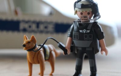 Les avantages de choisir Playmobil pour les jeux de rôle des enfants.