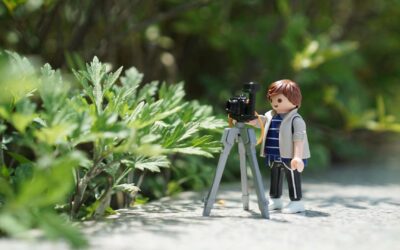 Playmobil : Analyse de leur collection « Wild Life » pour les amoureux de la nature.